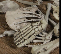 28-Piece Bag of Bones - Realistic Life-Size Skeleton Parts for Haunted Houses, Graveyard Scenes, and Horror Movie Props