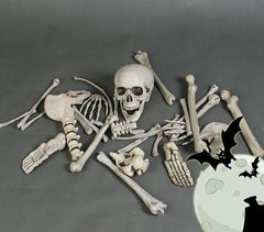 28-Piece Bag of Bones - Realistic Life-Size Skeleton Parts for Haunted Houses, Graveyard Scenes, and Horror Movie Props