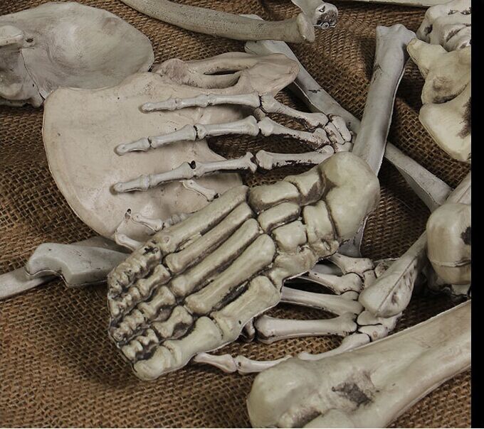 28-Piece Bag of Bones - Realistic Life-Size Skeleton Parts for Haunted Houses, Graveyard Scenes, and Horror Movie Props