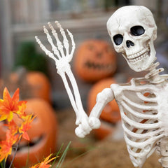 Lifelike Poseable Skeleton Prop - 5-foot Full Body Human Bones for Halloween Outdoor Graveyard Decor, Haunted House Scenes, and Spooky Party Accents
