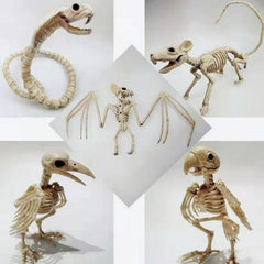 Gothic Animal Skeleton Decor - Realistic Scorpion, Bat, and Spider Bone Props for Haunted Houses, Escape Rooms, and Macabre Halloween Displays