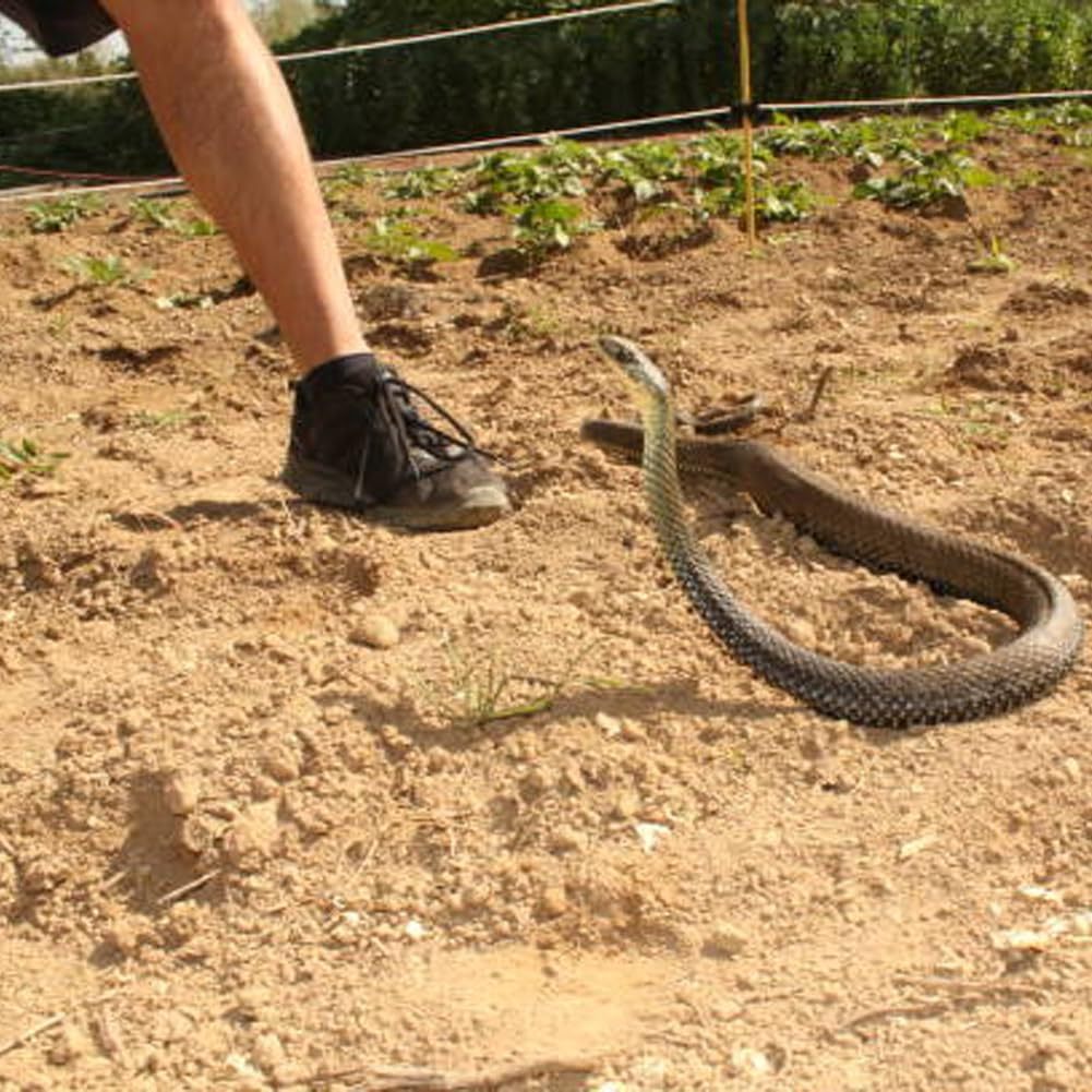 Realistic Coil Spring Snake Prank - Retractable String & Clip Surprise Toy for Hilarious Jump Scares and Gag Gifts