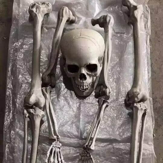 28-Piece Bag of Bones - Realistic Life-Size Skeleton Parts for Haunted Houses, Graveyard Scenes, and Horror Movie Props