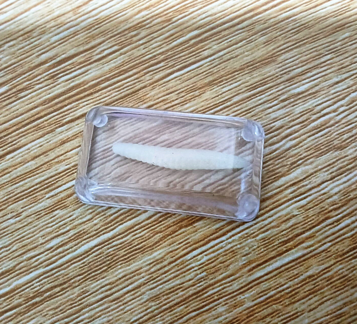 Realistic Floating Ice Cube Prank - Crystal Clear Novelty Ice with Hidden Fly for Hilarious Drink Gags and Party Jokes