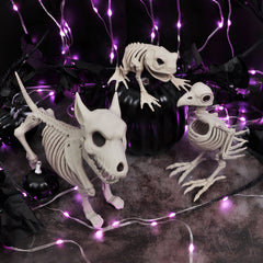 Realistic Animal Skeleton Specimen Collection - Gothic Bone Props featuring Scorpion, Bat, and Spider for Haunted Houses, Escape Rooms, and Creepy Bar Decor