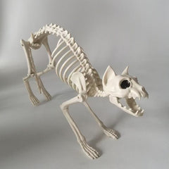 Gothic Animal Skeleton Decor - Realistic Scorpion, Bat, and Spider Bone Props for Haunted Houses, Escape Rooms, and Macabre Halloween Displays
