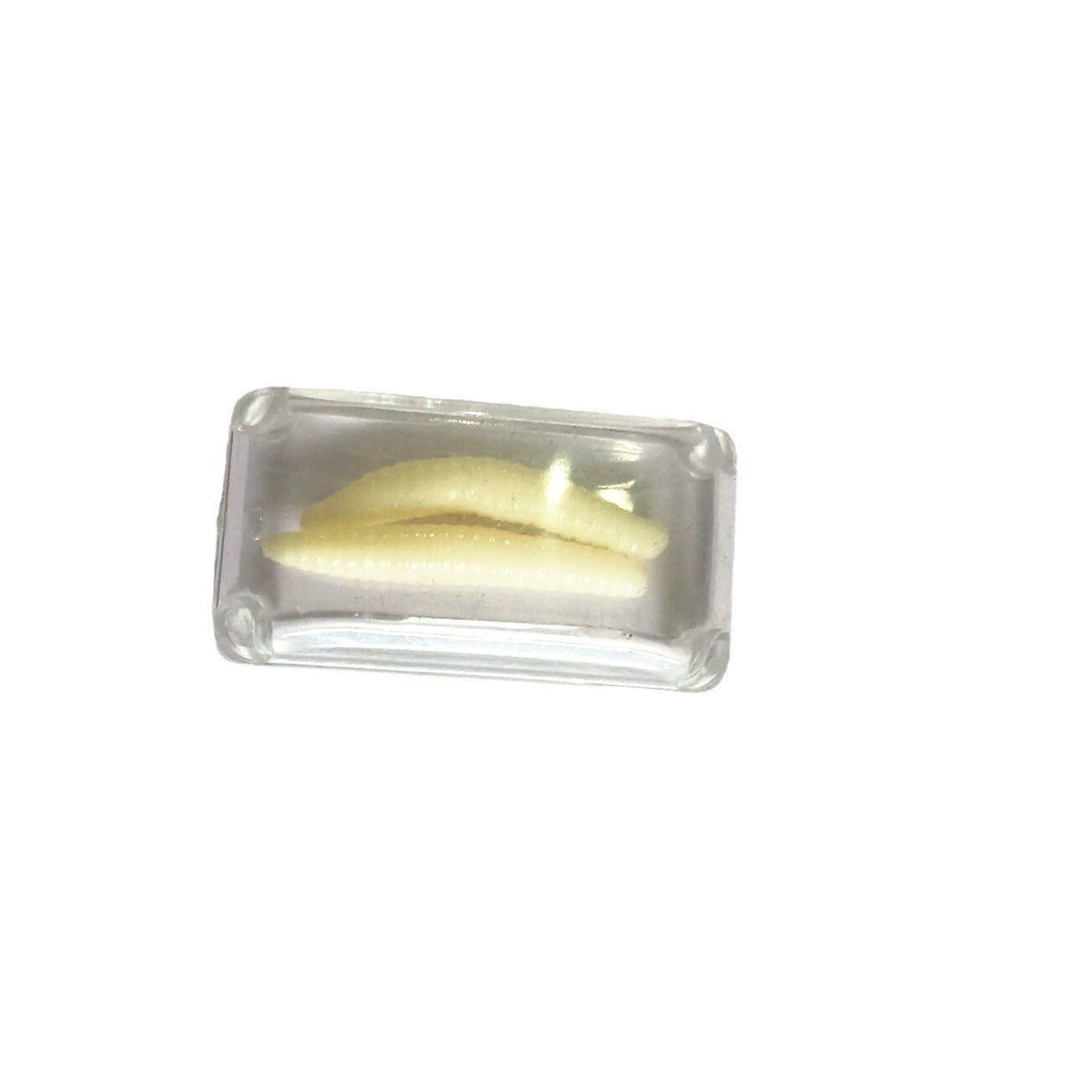 Realistic Floating Ice Cube Prank - Crystal Clear Novelty Ice with Hidden Fly for Hilarious Drink Gags and Party Jokes