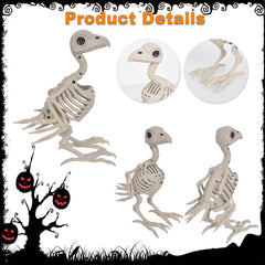 Realistic Animal Skeleton Specimen Collection - Gothic Bone Props featuring Scorpion, Bat, and Spider for Haunted Houses, Escape Rooms, and Creepy Bar Decor