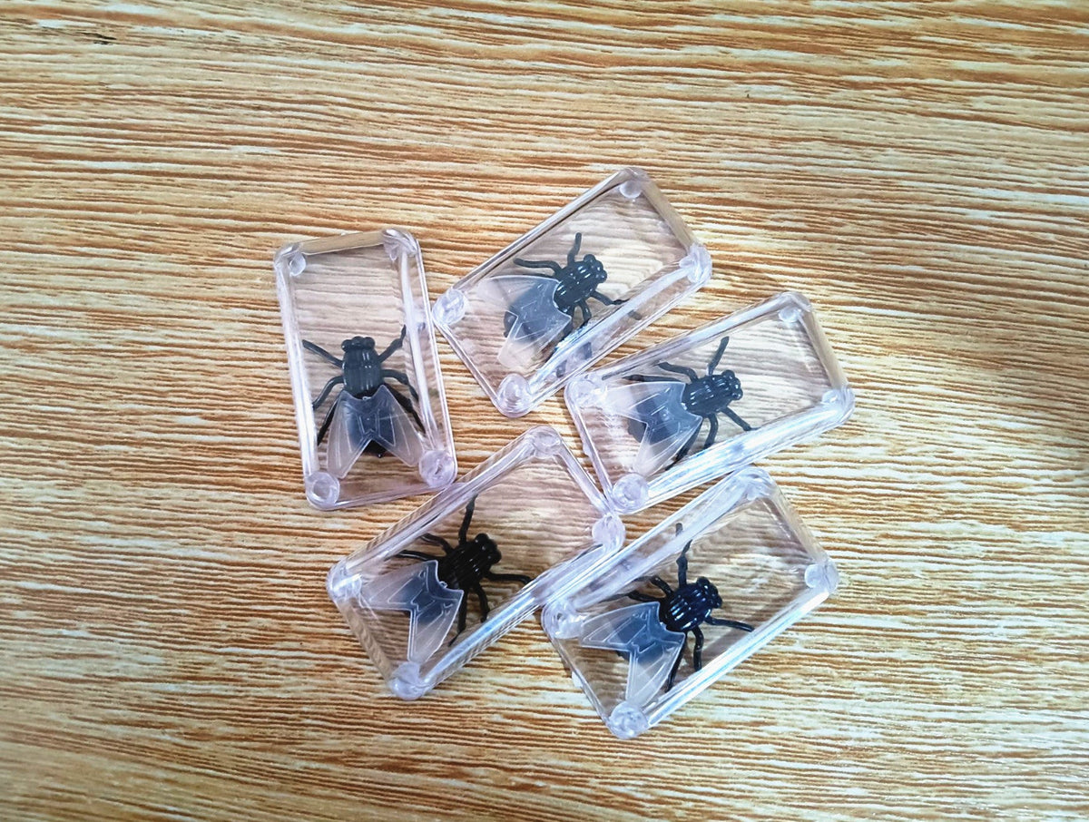 Realistic Floating Ice Cube Prank - Crystal Clear Novelty Ice with Hidden Fly for Hilarious Drink Gags and Party Jokes