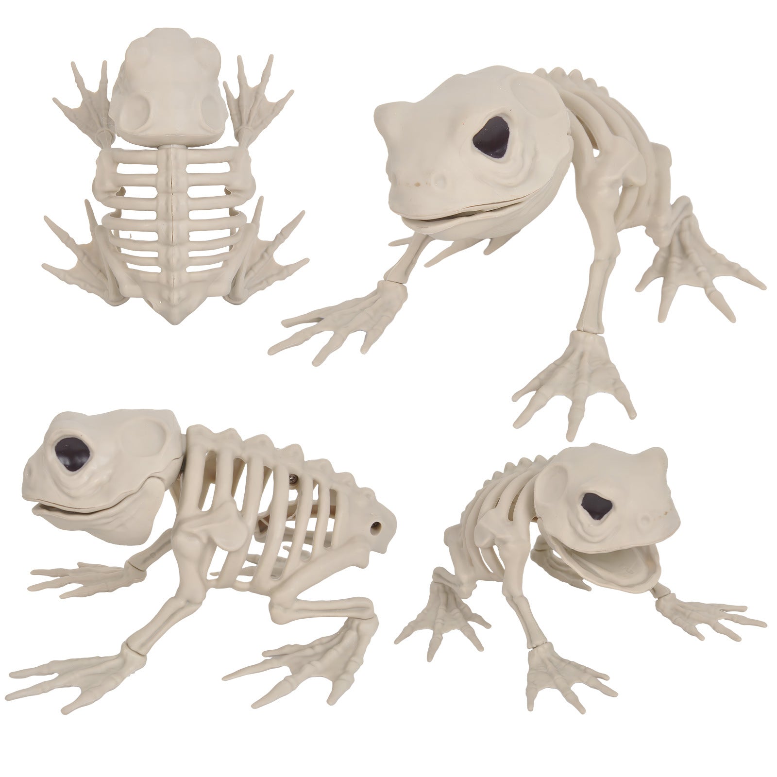 Realistic Animal Skeleton Specimen Collection - Gothic Bone Props featuring Scorpion, Bat, and Spider for Haunted Houses, Escape Rooms, and Creepy Bar Decor