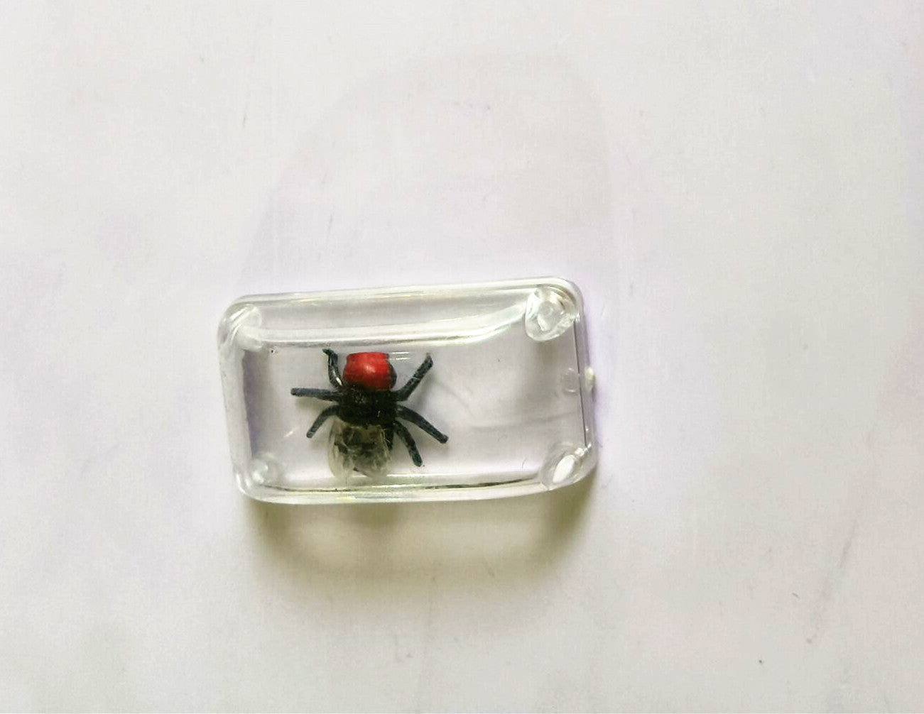 Realistic Floating Ice Cube Prank - Crystal Clear Novelty Ice with Hidden Fly for Hilarious Drink Gags and Party Jokes